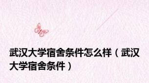 武汉大学宿舍条件怎么样（武汉大学宿舍条件）