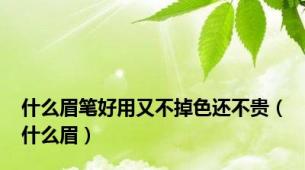 什么眉笔好用又不掉色还不贵（什么眉）