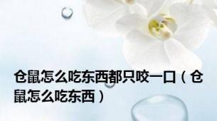 仓鼠怎么吃东西都只咬一口（仓鼠怎么吃东西）
