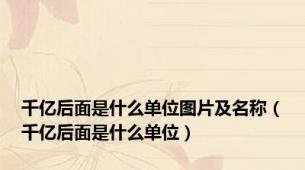 千亿后面是什么单位图片及名称（千亿后面是什么单位）