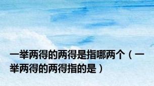 一举两得的两得是指哪两个（一举两得的两得指的是）