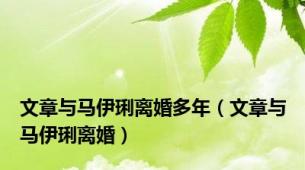 文章与马伊琍离婚多年（文章与马伊琍离婚）