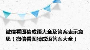 微信看图猜成语大全及答案表示意思（微信看图猜成语答案大全）