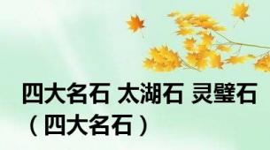 四大名石 太湖石 灵璧石（四大名石）