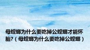 母螳螂为什么要吃掉公螳螂才能怀胎?（母螳螂为什么要吃掉公螳螂）