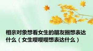 相亲对象想看女生的朋友圈想表达什么（女生嘤嘤嘤想表达什么）