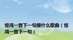 惊鸿一瞥下一句接什么歌曲（惊鸿一瞥下一句）