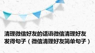 清理微信好友的话语微信清理好友发得句子（微信清理好友简单句子）