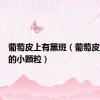 葡萄皮上有黑斑（葡萄皮上黑色的小颗粒）