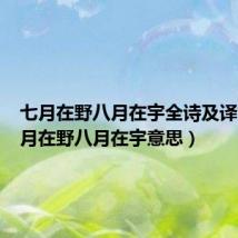 七月在野八月在宇全诗及译文(七月在野八月在宇意思)