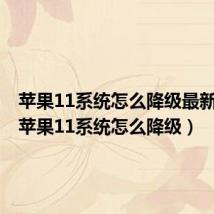 苹果11系统怎么降级最新版本(苹果11系统怎么降级)