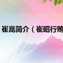 崔崑简介（崔昭行贿事）