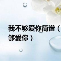 我不够爱你简谱（我不够爱你）
