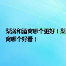 梨涡和酒窝哪个更好(梨涡和酒窝哪个好看)