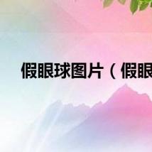 假眼球图片（假眼）