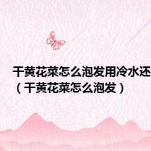 干黄花菜怎么泡发用冷水还是热水(干黄花菜怎么泡发)