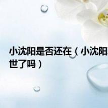小沈阳是否还在（小沈阳真的去世了吗）