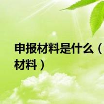 申报材料是什么（申报材料）