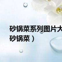 砂锅菜系列图片大全（砂锅菜）