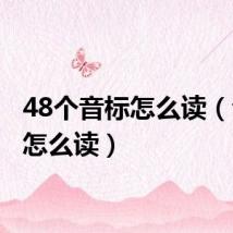 48个音标怎么读(音标3怎么读)