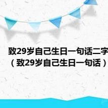 致29岁自己生日一句话二字头已过(致29岁自己生日一句话)