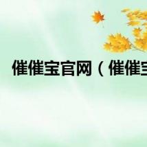 催催宝官网（催催宝）