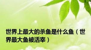 世界上最大的杀鱼是什么鱼（世界最大鱼被活宰）