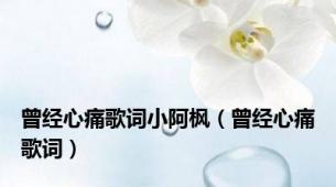 曾经心痛歌词小阿枫（曾经心痛歌词）