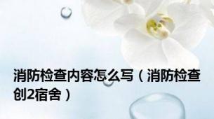 消防检查内容怎么写（消防检查创2宿舍）