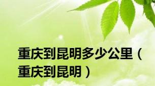 重庆到昆明多少公里（重庆到昆明）