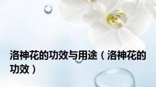 洛神花的功效与用途（洛神花的功效）