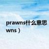 prawns什么意思（prawns）