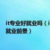 it专业好就业吗（it专业就业前景）