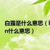 白露是什么意思（bitchin什么意思）