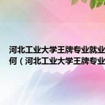 河北工业大学王牌专业就业前景如何(河北工业大学王牌专业)
