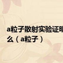 a粒子散射实验证明了什么(a粒子)