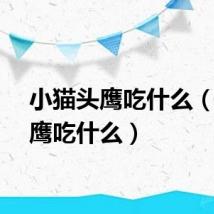 小猫头鹰吃什么（猫头鹰吃什么）