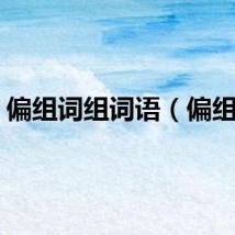 偏组词组词语（偏组词）