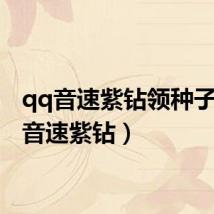 qq音速紫钻领种子(qq音速紫钻)