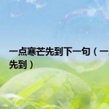 一点寒芒先到下一句（一点寒芒先到）