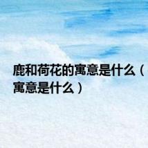 鹿和荷花的寓意是什么(荷花的寓意是什么)