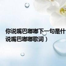 你说嘴巴嘟嘟下一句是什么(你说嘴巴嘟嘟歌词)