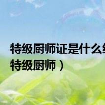 特级厨师证是什么级别（特级厨师）