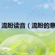 流盼读音（流盼的意思）