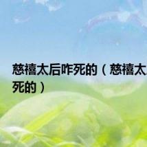 慈禧太后咋死的（慈禧太后怎么死的）