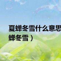 夏蝉冬雪什么意思（夏蝉冬雪）