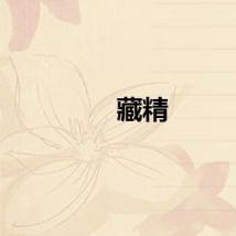 藏精