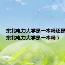 东北电力大学是一本吗还是二本(东北电力大学是一本吗)