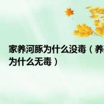 家养河豚为什么没毒(养殖河豚为什么无毒)
