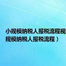 小规模纳税人报税流程视频(小规模纳税人报税流程)
